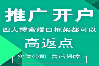 百度竞价推广托管：成功案例背后的故事